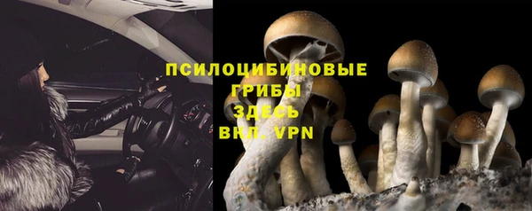 гидропоника Алексеевка