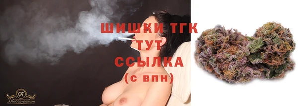 прущие грибы Алексин