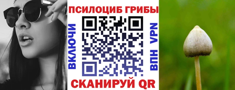Псилоцибиновые грибы Psilocybine cubensis  Волжский 