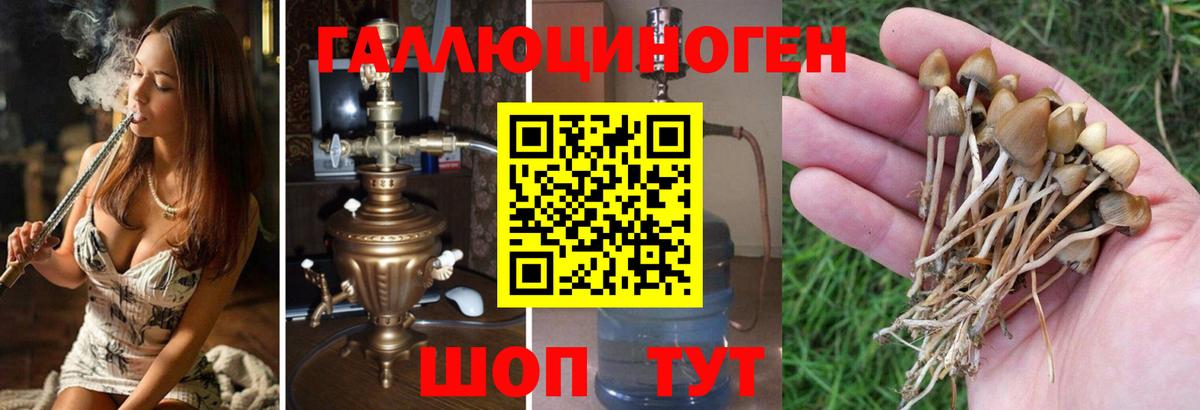 Псилоцибиновые грибы MAGIC MUSHROOMS  Вход с VPN  где купить наркоту  Волжский 