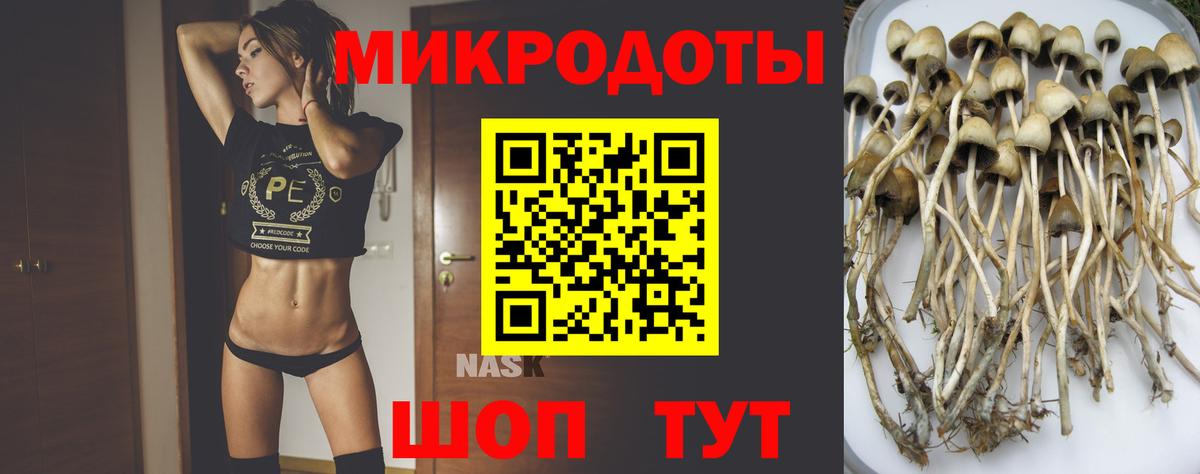 Псилоцибиновые грибы Psilocybe Волжский